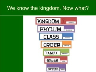 We know the kingdom. Now what?
 