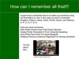 How can I remember all that!!!
A good way to remember lists is to make up a sentence using
the first letters in a list. In this case we want to remember
Kingdom, Phylum, Class, Order, Family, Genus, and Species:
K, P, C, O, F, G, S
Here are some sentences:
Kids Prefer Cheese Over Fried Green Spinach.
Koalas Prefer Chocolate Or Fruit, Generally Speaking
King Philip Came Over For Good Spaghetti
Keeping Precious Creatures Organized For Grumpy Scientists
Or how
about
this...
 