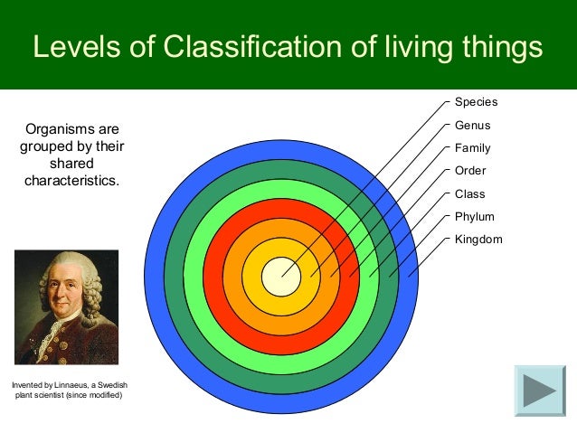 How Do Living Things Get Their Food Class How Do Living Things Get Their Food Class