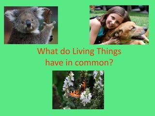 What do Living Things
have in common?
 