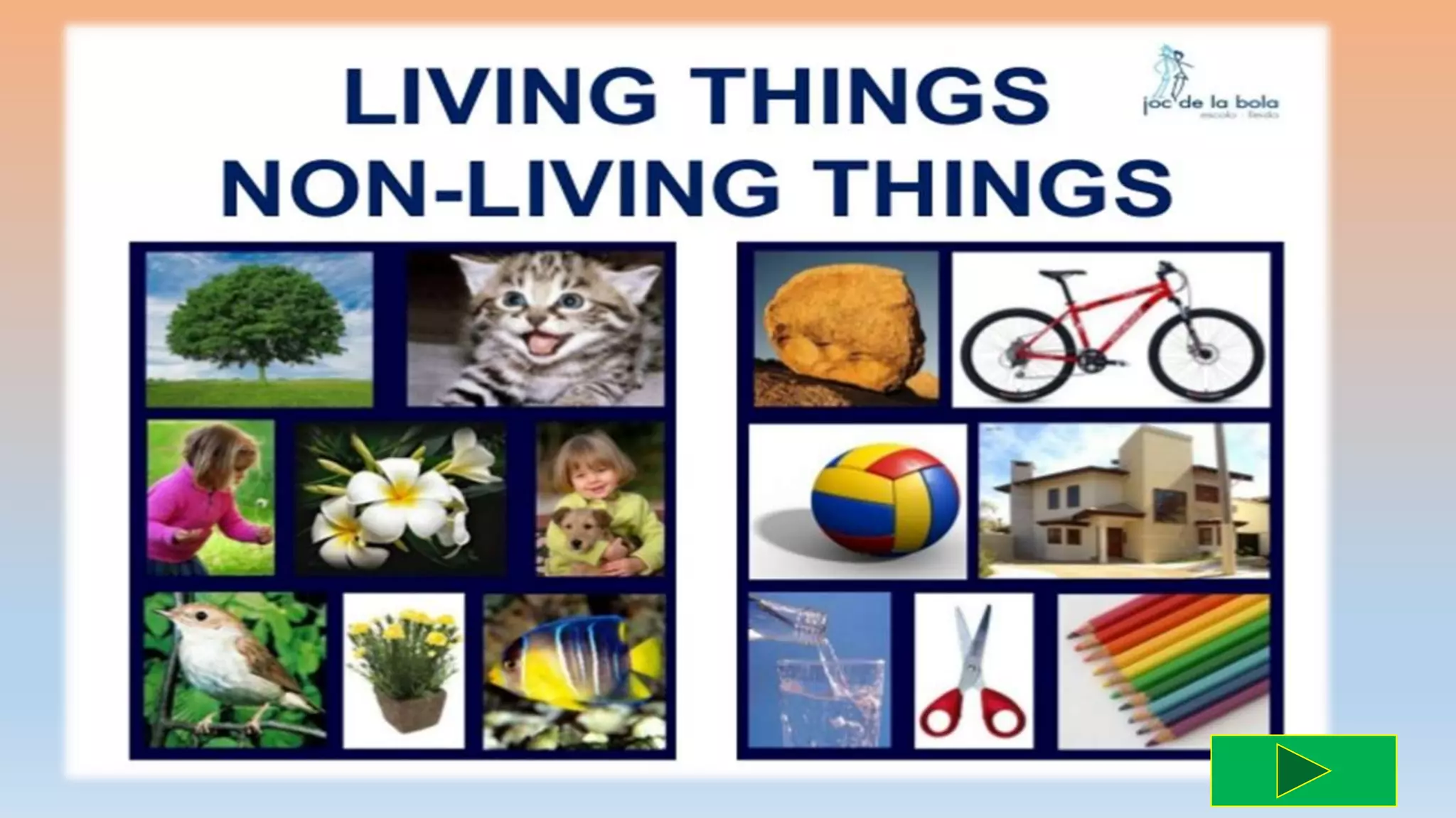 Living and non-things ppt | PPTX