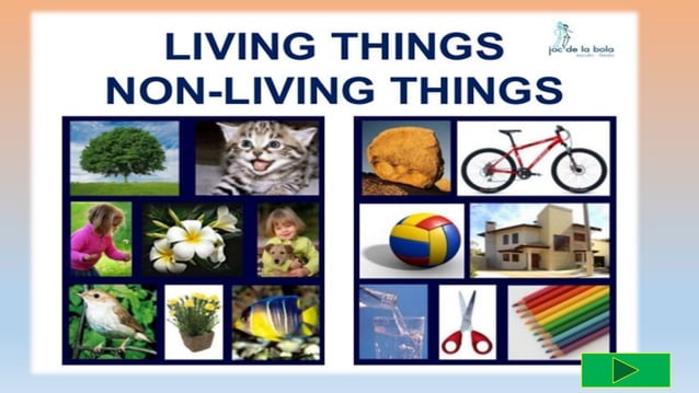 Living and non-things ppt | PPTX