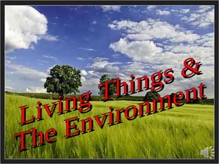 Living Things & The Environment 