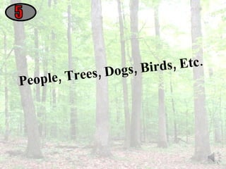 People, Trees, Dogs, Birds, Etc. 5 