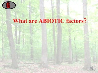 What are ABIOTIC factors? 6 