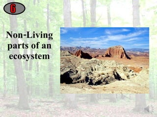 Non-Living parts of an ecosystem 6 