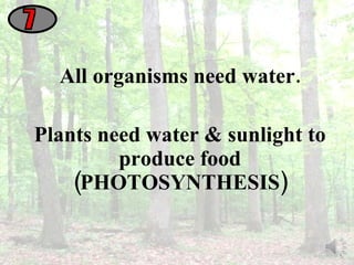 All organisms need water. Plants need water & sunlight to produce food (PHOTOSYNTHESIS) 7 