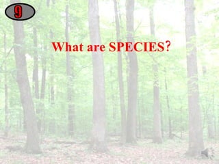 What are SPECIES? 9 