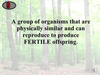 A group of organisms that are physically similar and can reproduce to produce FERTILE offspring. 9 