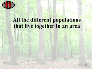 All the different populations that live together in an area 11 