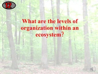 What are the levels of organization within an ecosystem? 12 