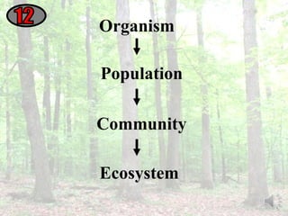 Organism Ecosystem 12 Population Community 