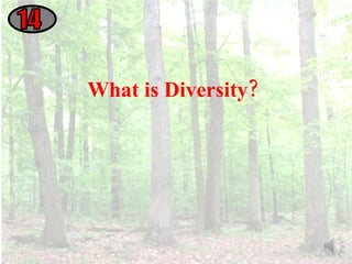 14 What is Diversity? 