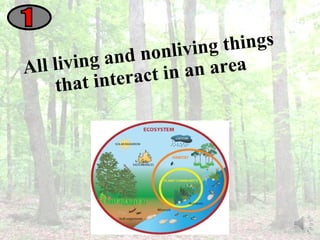 All living and nonliving things that interact in an area 1 