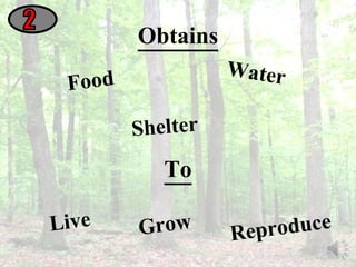 Food 2 Water Shelter Obtains To Live Grow Reproduce 