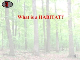 What is a HABITAT? 3 