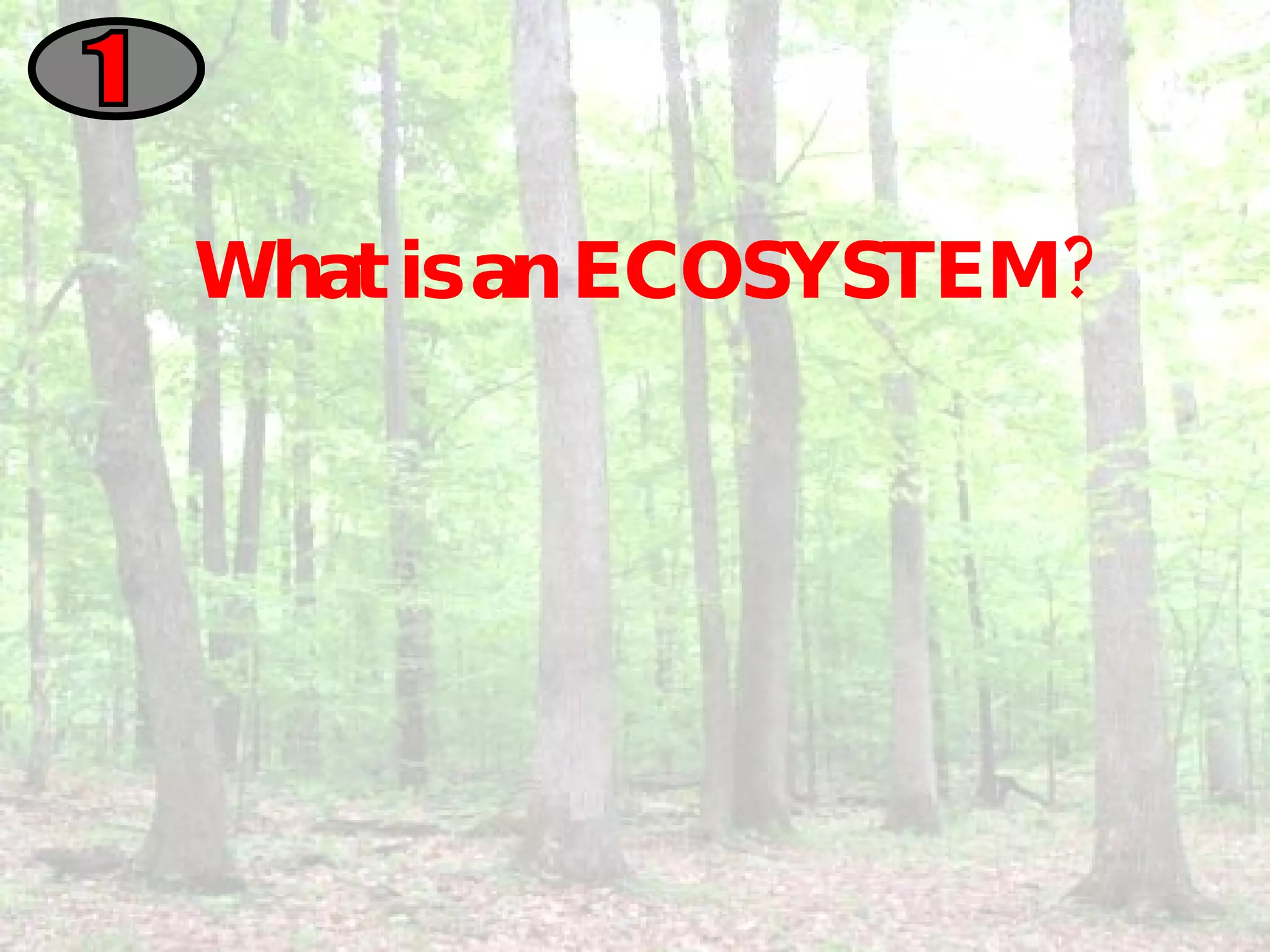 What is an ECOSYSTEM? 1