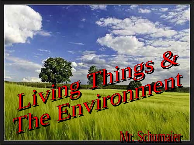 Living Things & The Environment | PPT | Biological Sciences | Science