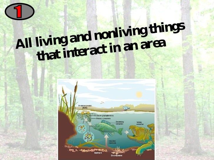 Living Things & The Environment