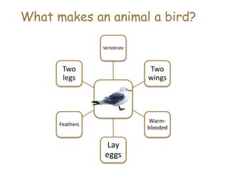 What makes an animal a bird?
Vertebrate
Two
wings
Warm-
blooded
Lay
eggs
Feathers
Two
legs
 