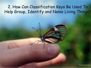 2. How Can Classification Keys Be Used To
Help Group, Identify and Name Living Things?
Photo: Alexandra Gomez
 