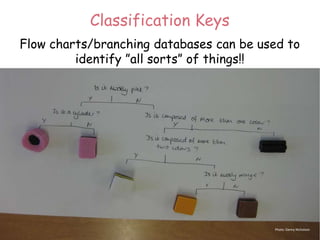 Classification Keys
Flow charts/branching databases can be used to
identify ”all sorts” of things!!
Photo: Danny Nicholson
 