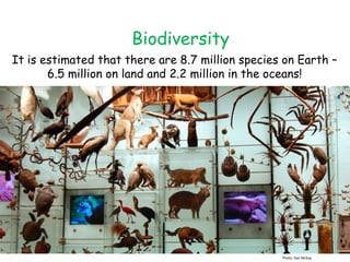 Biodiversity
It is estimated that there are 8.7 million species on Earth –
6.5 million on land and 2.2 million in the oceans!
Photo: Dan McKay
 