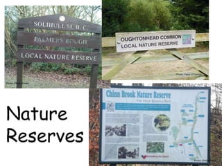 Photo: Eliott Brown
Photo: Elliott Brown
Photo: Peter O’Connor
Nature
Reserves
 