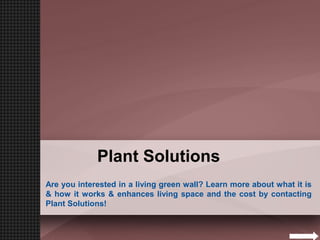 Plant Solutions
Are you interested in a living green wall? Learn more about what it is
& how it works & enhances living space and the cost by contacting
Plant Solutions!
 
