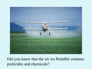 Did you know that the air we  breathe  contains pesticides and chemicals? 