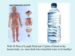 With 45 Pints of Lymph Fluid and 12 pints of blood in the human body, we  must drink lots of purified water to be healthy! 