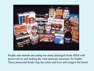 People and animals are eating too many packaged foods filled with preservatives and lacking the vital nutrients necessary for health.  These processed foods clog the colon and liver and congest the blood. 