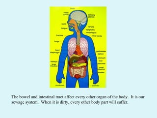 The bowel and intestinal tract affect every other organ of the body.  It is our sewage system.  When it is dirty, every other body part will suffer. 