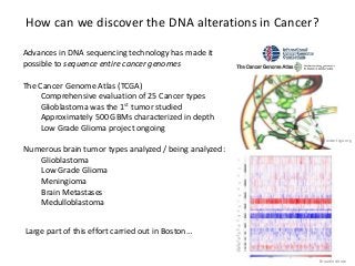 How can we discover the DNA alterations in Cancer?
Advances in DNA sequencing technology has made it
possible to sequence entire cancer genomes
www.tcga.org
Broad Institute
Large part of this effort carried out in Boston…
The Cancer Genome Atlas (TCGA)
Comprehensive evaluation of 25 Cancer types
Glioblastoma was the 1st tumor studied
Approximately 500 GBMs characterized in depth
Low Grade Glioma project ongoing
Numerous brain tumor types analyzed / being analyzed:
Glioblastoma
Low Grade Glioma
Meningioma
Brain Metastases
Medulloblastoma
 