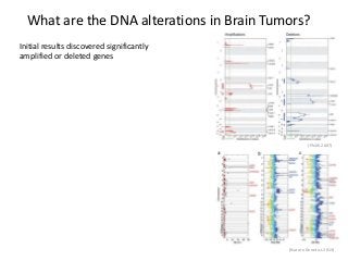 What are the DNA alterations in Brain Tumors?
Initial results discovered significantly
amplified or deleted genes
(Nature Genetics 2013)
(PNAS 2007)
 