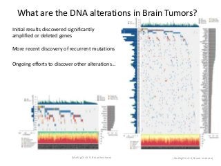 What are the DNA alterations in Brain Tumors?
(MutSigCV v0.9, Broad Institute)
Initial results discovered significantly
amplified or deleted genes
(Nature Genetics 2013)
(PNAS 2007)
(MutSigCV v2.0, Broad Institute)
Ongoing efforts to discover other alterations…
More recent discovery of recurrent mutations
 