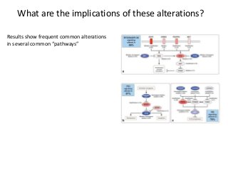 What are the implications of these alterations?
Results show frequent common alterations
in several common “pathways”
 