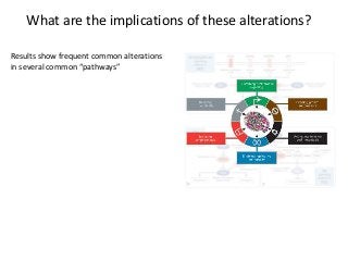 What are the implications of these alterations?
Results show frequent common alterations
in several common “pathways”
 