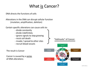 What is Cancer?
DNA directs the functions of cells
Adaptedfromwww.scienceprogress.org
Alterations in the DNA can disrupt cellular function
(mutation, amplification, deletion)
Certain specific alterations can cause cells to:
- divide constantly
- divide indefinitely
- ignore signals to stop growing
- resist cell death
- invade / spread to other sites
- recruit blood vessels
 