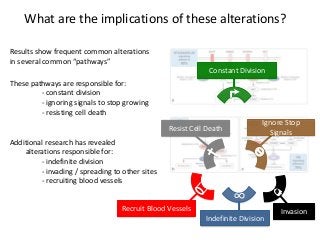 What are the implications of these alterations?
Results show frequent common alterations
in several common “pathways”
Constant Division
Ignore Stop
Signals
Resist Cell Death
Indefinite Division
∞
Recruit Blood Vessels Invasion
Additional research has revealed
alterations responsible for:
- indefinite division
- invading / spreading to other sites
- recruiting blood vessels
These pathways are responsible for:
- constant division
- ignoring signals to stop growing
- resisting cell death
 