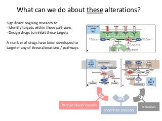 Indefinite Division
∞
Recruit Blood Vessels Invasion
What can we do about these alterations?
Constant Division
Ignore Stop
Signals
Resist Cell Death
A number of drugs have been developed to
target many of these alterations / pathways
Significant ongoing research to:
- Identify targets within these pathways
- Design drugs to inhibit these targets
 