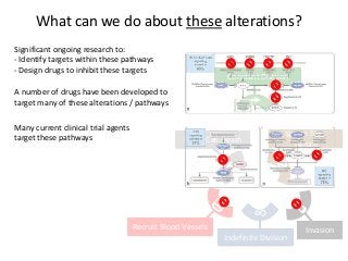 Indefinite Division
∞
Recruit Blood Vessels Invasion
What can we do about these alterations?
Constant Division
Ignore Stop
Signals
Resist Cell Death
A number of drugs have been developed to
target many of these alterations / pathways
Many current clinical trial agents
target these pathways
Significant ongoing research to:
- Identify targets within these pathways
- Design drugs to inhibit these targets
 