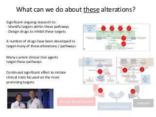 Indefinite Division
∞
Recruit Blood Vessels Invasion
What can we do about these alterations?
Constant Division
Ignore Stop
Signals
Resist Cell Death
A number of drugs have been developed to
target many of these alterations / pathways
Continued significant effort to initiate
clinical trials focused on the most
promising targets
Many current clinical trial agents
target these pathways
Significant ongoing research to:
- Identify targets within these pathways
- Design drugs to inhibit these targets
 