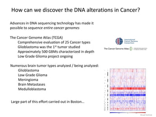 What causes these changes in DNA?
DNA alterations occur at random
Most result from normal “everyday” life in the cell:
- errors copying or separating DNA
- cellular by-products reacting with DNA
 