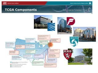 What causes these changes in DNA?
DNA alterations occur at random
Most result from normal “everyday” life in the cell:
- errors copying or separating DNA
- cellular by-products reacting with DNA
DNA alterations can also result from specific exposures:
- tobacco smoke – [lung cancer]
- ultraviolet light – [melanoma]
- radiation – [leukemias]
- chemicals (asbestos) – [mesothelioma]
- oncoviruses (HPV) – [cervical cancer]
 