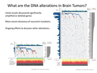 How can cancer cell growth be stopped?
Chemotherapy & Radiation damage DNA to trigger cell death
Greatest effect seen in rapidly dividing cells (not cancer-specific)
An increasing understanding of alterations “driving” cancer growth
 