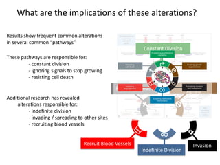 How can cancer cell growth be stopped?
(NEJM 2004)
(NEJM 2010)
(NEJM 2010)
Chemotherapy & Radiation damage DNA to trigger cell death
Greatest effect seen in rapidly dividing cells (not cancer-specific)
An increasing understanding of alterations “driving” cancer growth
Recent trials have shown that successfully targeting
cancer “drivers” can lead to significant tumor responses:
- CML with Bcr-Abl fusion: Imatinib
- Breast Cancer with Her-2 amplification: Trastuzumab
- Lung Cancer with EGFR mutation: Gefitinib
- Lung Cancer with EML4-ALK fusion: Crizotinib
- Melanoma with BRAF mutation: Vemurafenib
 