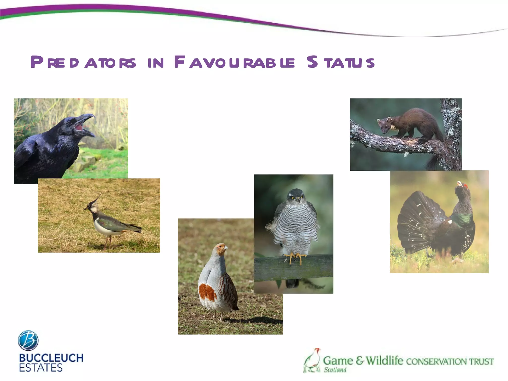 P re d ators in Favou rab le S tatu s
 