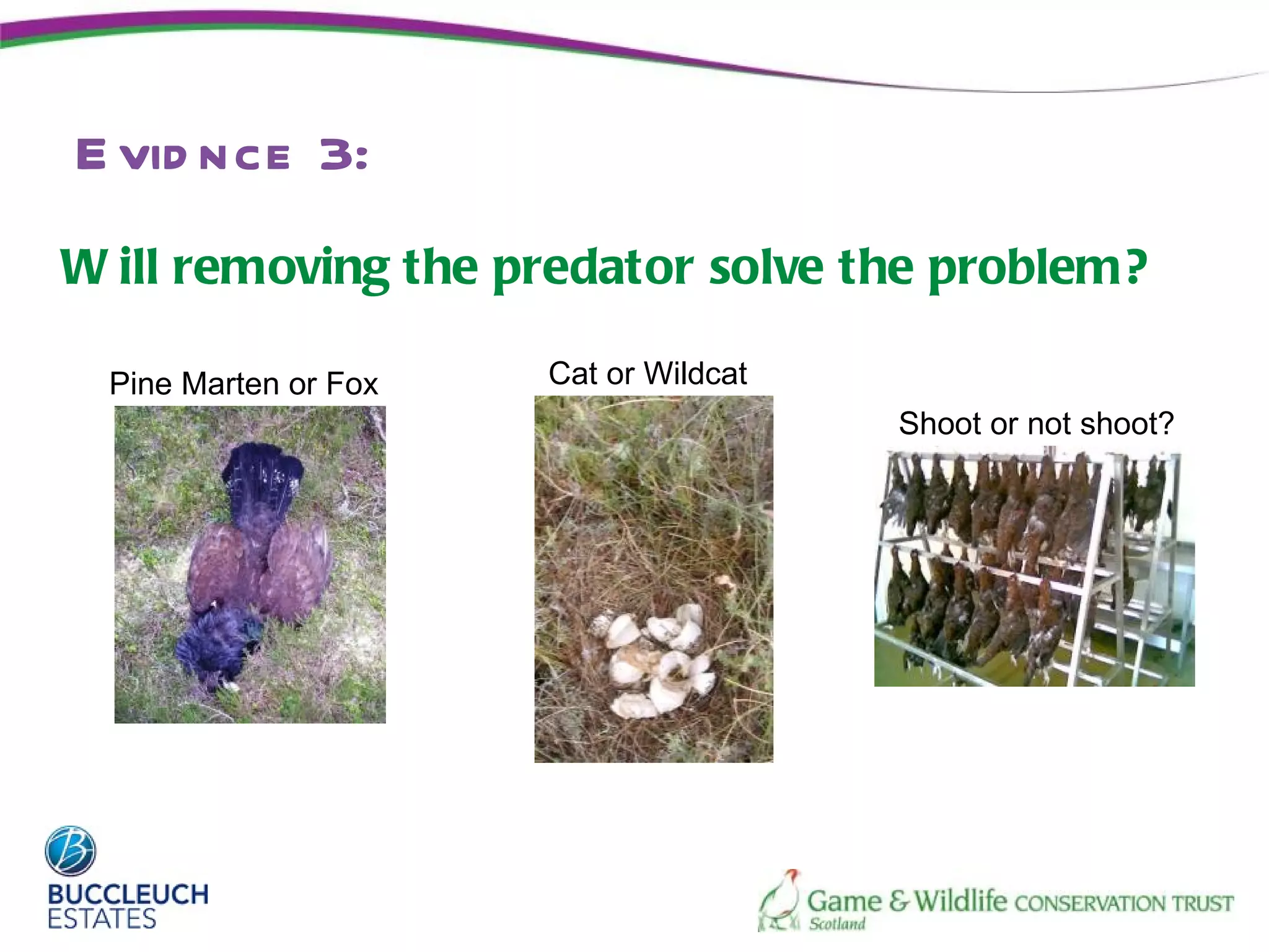 E vid nce 3:
W ill removing the predator solve the problem?

 Pine Marten or Fox   Cat or Wildcat
                                       Shoot or not shoot?
 