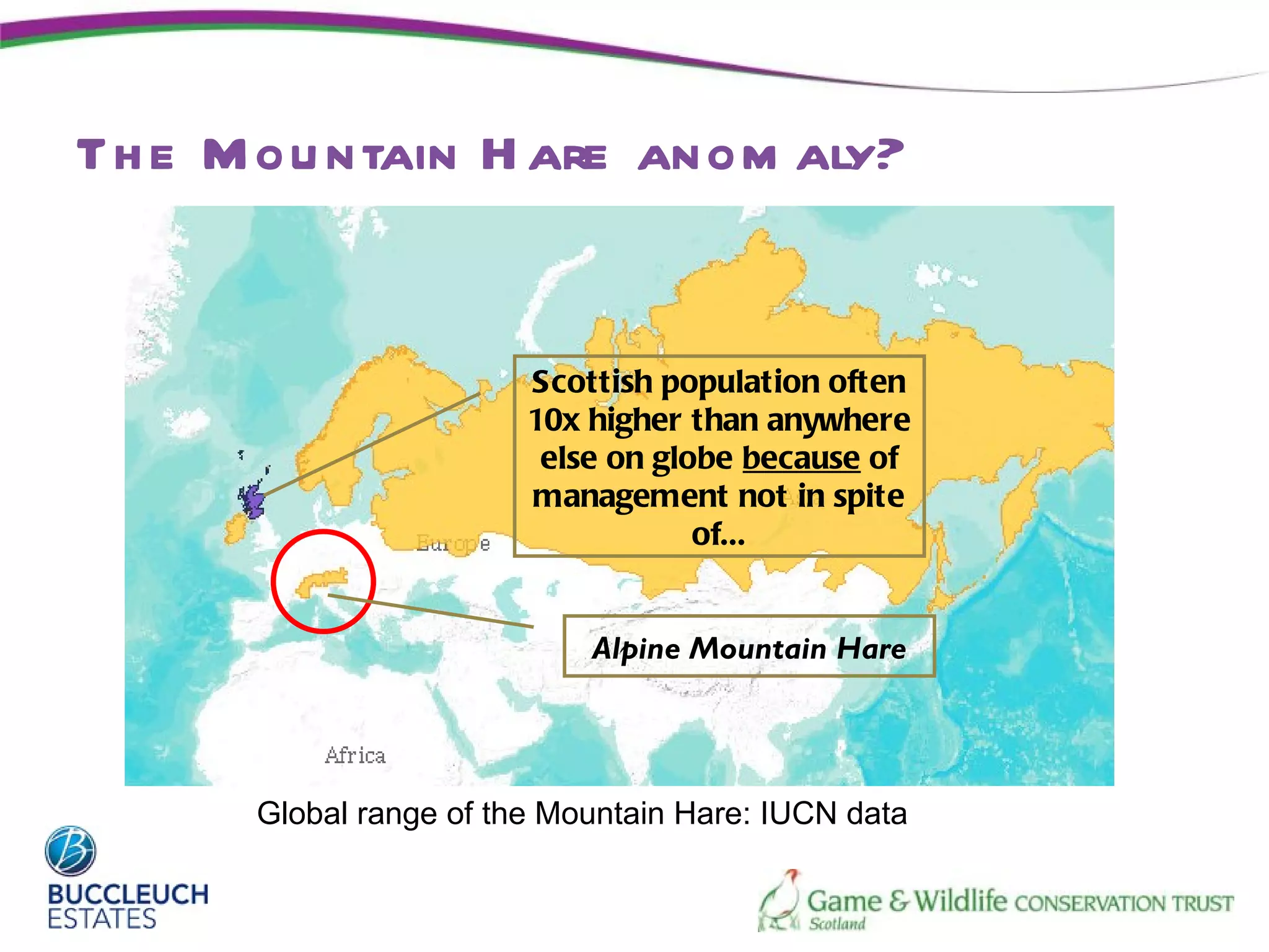 Th e M ou ntain H are anom aly?


                        Scottish population often
                        10x higher than anywhere
                         else on globe because of
                        management not in spite
                                    of...


                            Alpine Mountain Hare




      Global range of the Mountain Hare: IUCN data
 